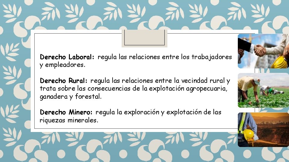 Derecho Laboral: regula las relaciones entre los trabajadores y empleadores. Derecho Rural: regula las Derecho Laboral: regula las relaciones entre los trabajadores y empleadores. Derecho Rural: regula las