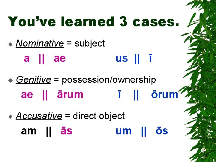 You’ve learned 3 cases. Nominative = subject a || ae Genitive = possession/ownership ae