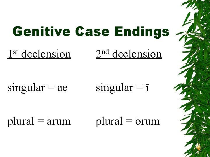 Genitive Case Endings 1 st declension 2 nd declension singular = ae singular =