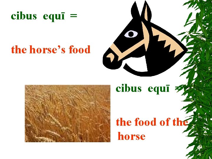 cibus equī = the horse’s food cibus equī = the food of the horse