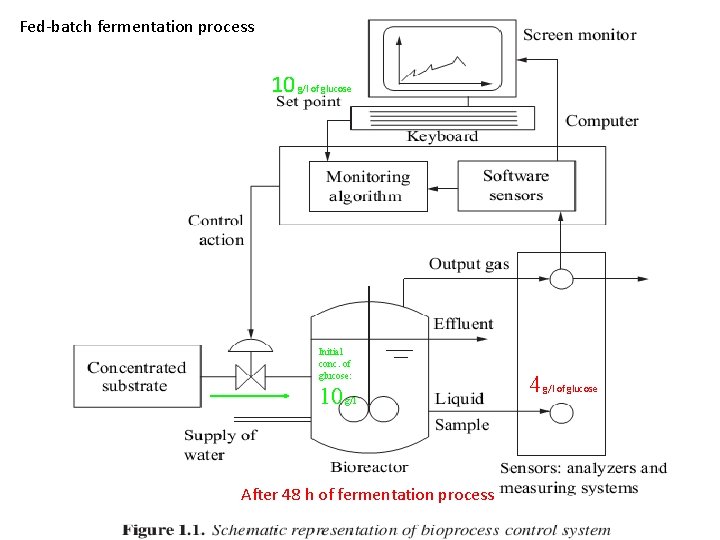 Fed-batch fermentation process 10 g/l of glucose Initial conc. of glucose: 10 g/l 4