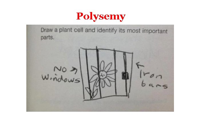 Polysemy 
