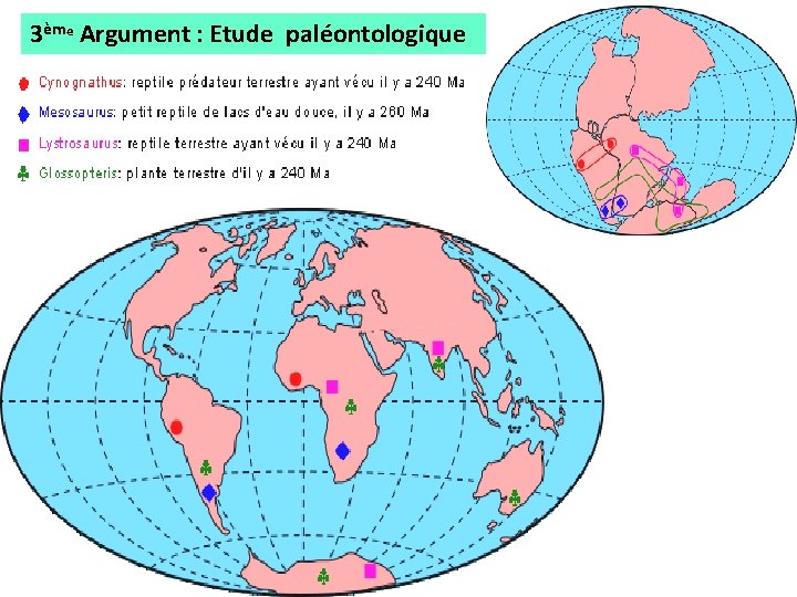 3ème Argument : Etude paléontologique 
