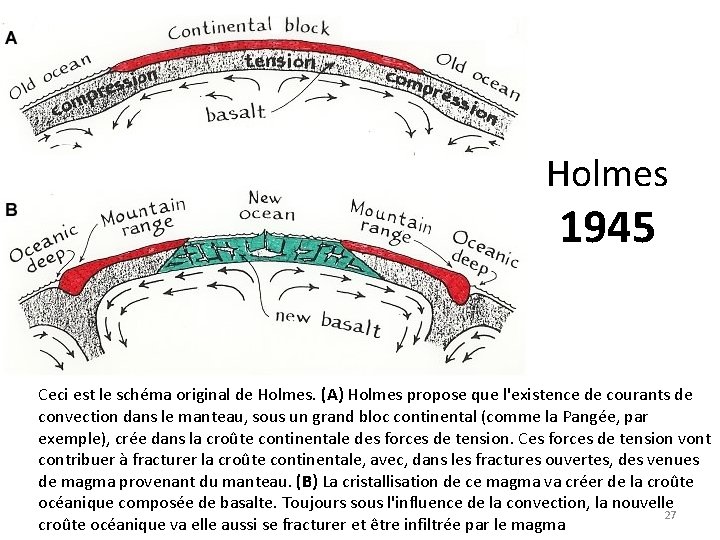 Holmes 1945 Ceci est le schéma original de Holmes. (A) Holmes propose que l'existence