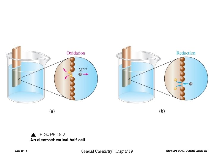 Cathode FIGURE 19 -2 An electrochemical half cell Slide 19 - 4 General Chemistry: