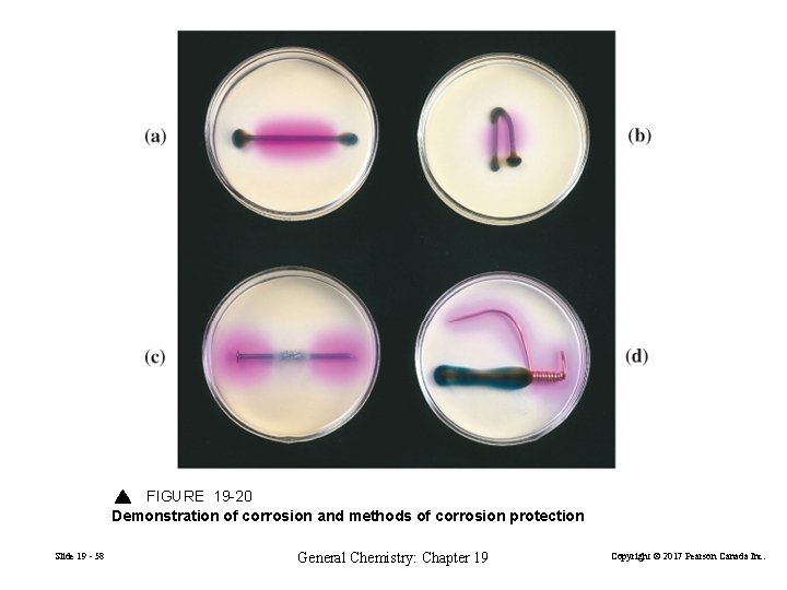 FIGURE 19 -20 Demonstration of corrosion and methods of corrosion protection Slide 19 -