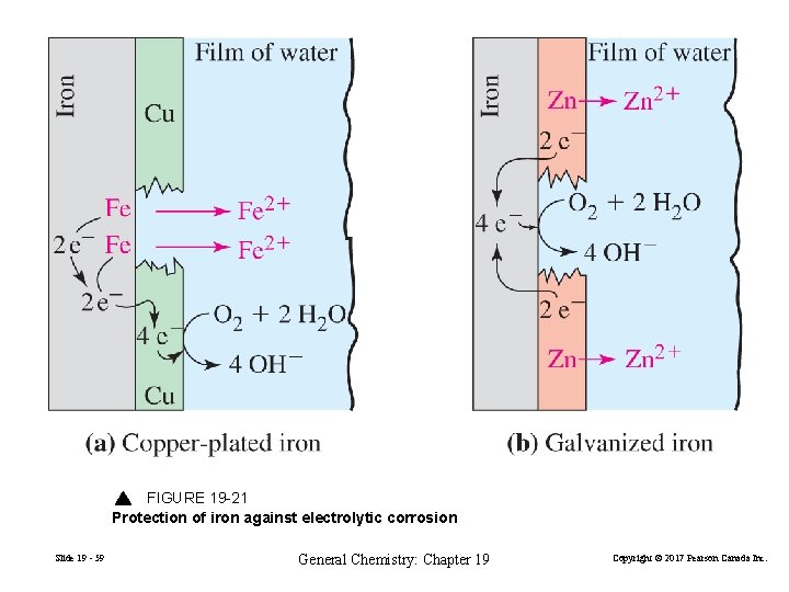 FIGURE 19 -21 Protection of iron against electrolytic corrosion Slide 19 - 59 General