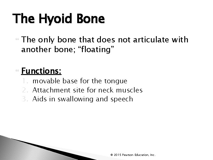 The Hyoid Bone The only bone that does not articulate with another bone; “floating”