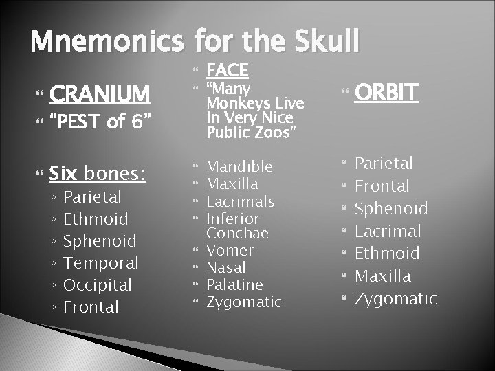 Mnemonics for the Skull CRANIUM “PEST of 6” Six bones: ◦ ◦ ◦ Parietal