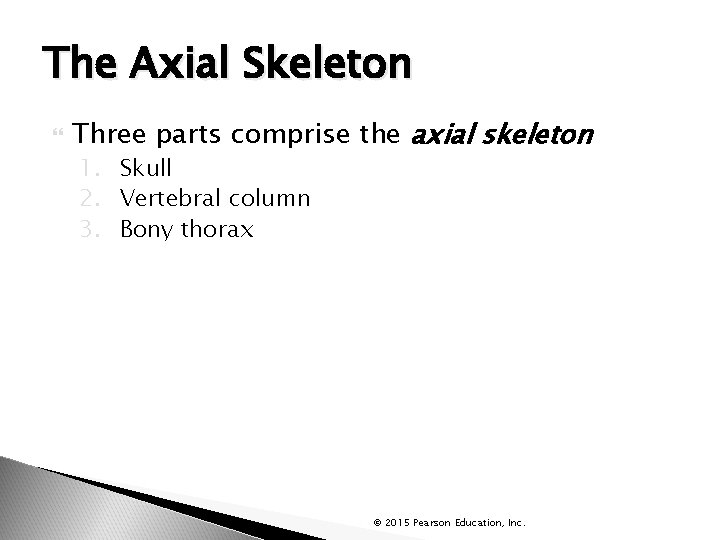 The Axial Skeleton Three parts comprise the axial skeleton 1. Skull 2. Vertebral column