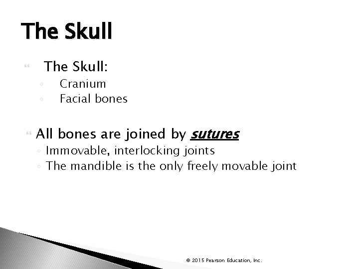 The Skull ◦ ◦ The Skull: Cranium Facial bones All bones are joined by