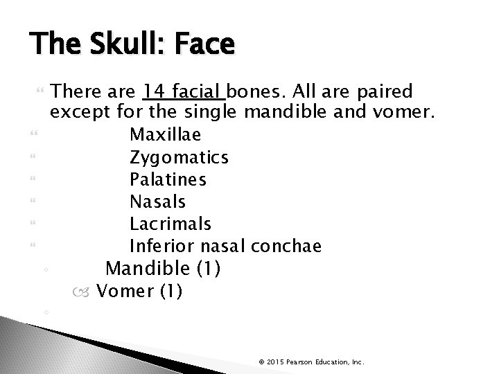 The Skull: Face There are 14 facial bones. All are paired except for the