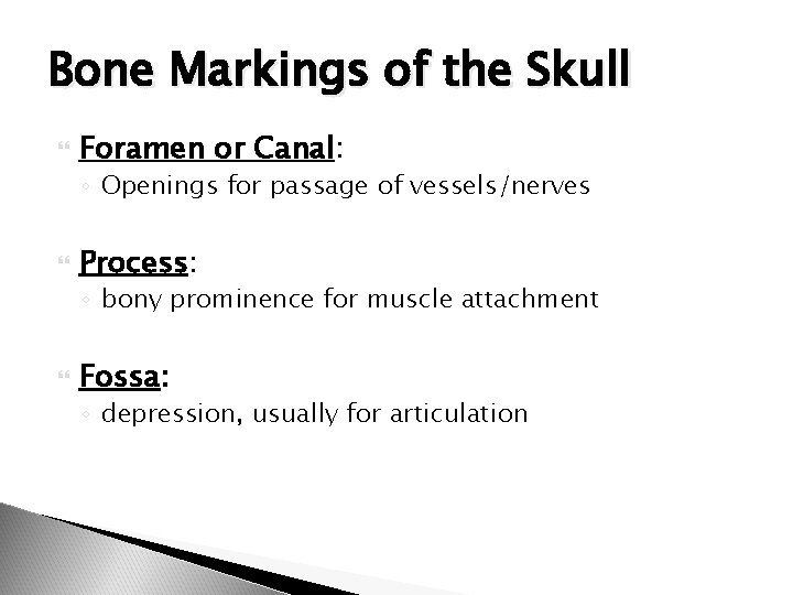 Bone Markings of the Skull Foramen or Canal: ◦ Openings for passage of vessels/nerves