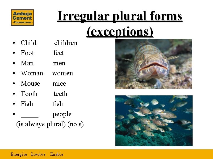  • • Irregular plural forms (exceptions) Child children Foot feet Man men Woman