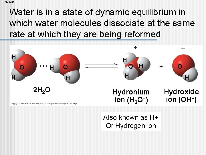 Fig. 3 -UN 2 Water is in a state of dynamic equilibrium in which