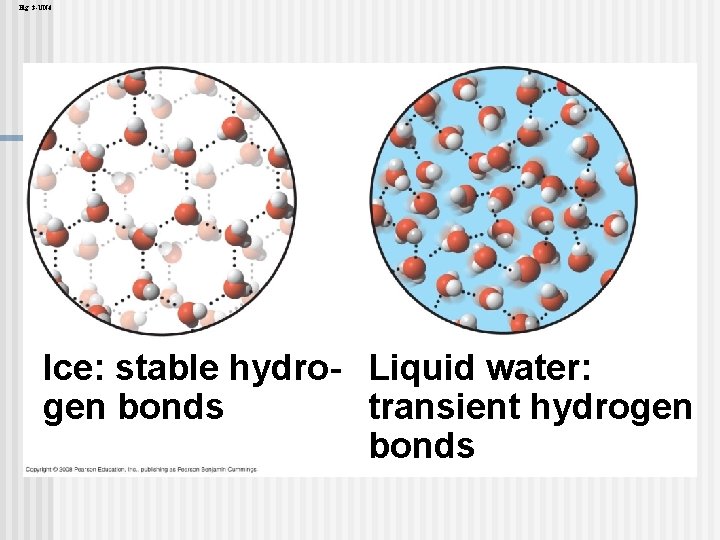 Fig. 3 -UN 4 Ice: stable hydro- Liquid water: gen bonds transient hydrogen bonds