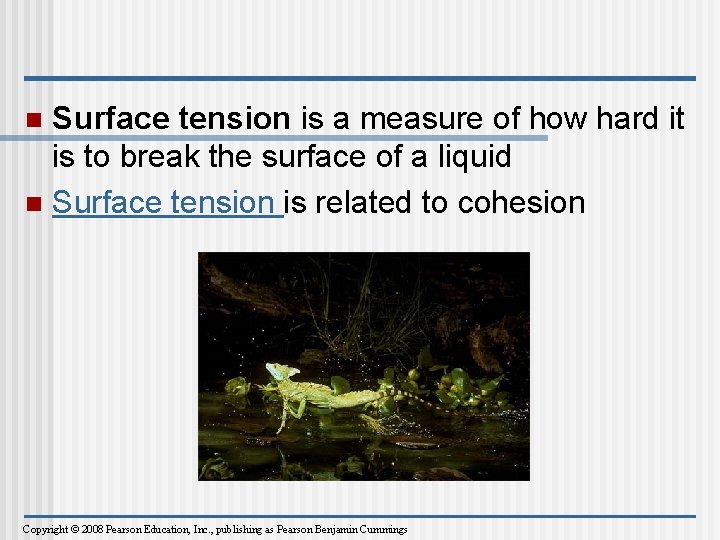 Surface tension is a measure of how hard it is to break the surface