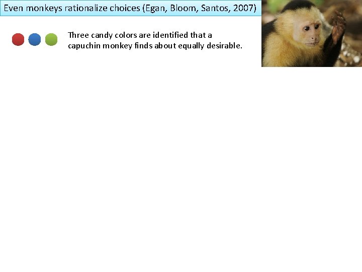 Even monkeys rationalize choices (Egan, Bloom, Santos, 2007) Three candy colors are identified that