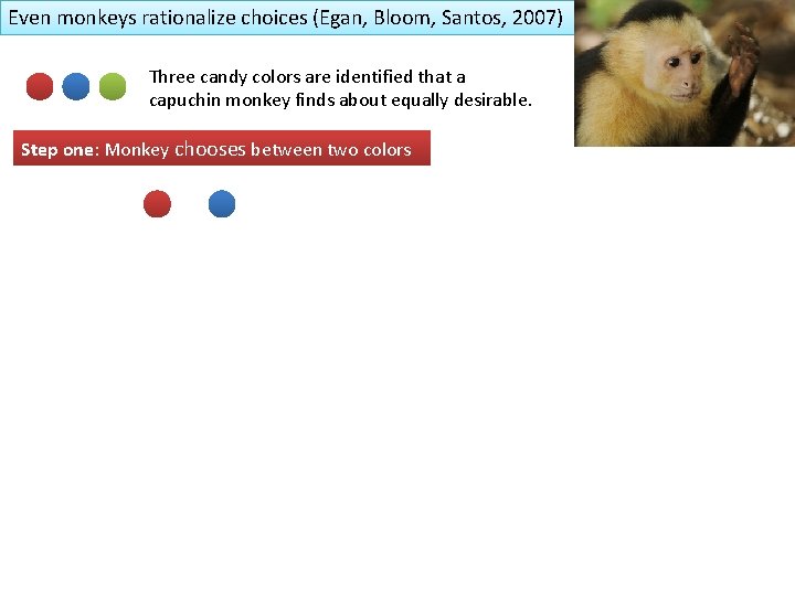 Even monkeys rationalize choices (Egan, Bloom, Santos, 2007) Three candy colors are identified that