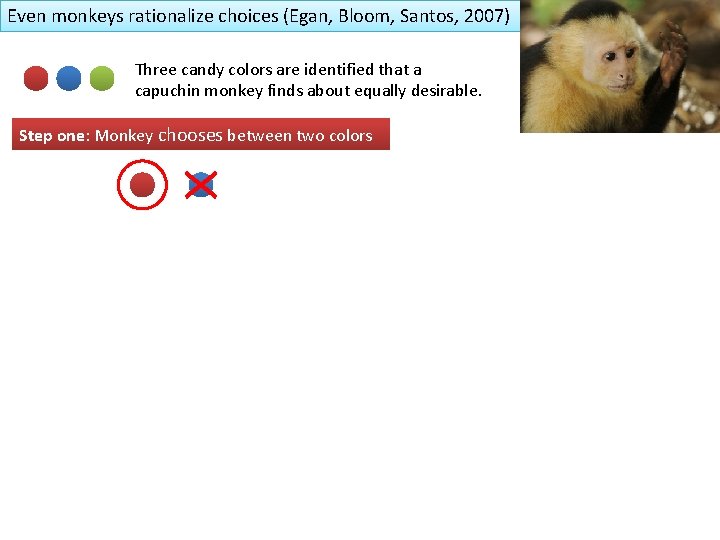 Even monkeys rationalize choices (Egan, Bloom, Santos, 2007) Three candy colors are identified that