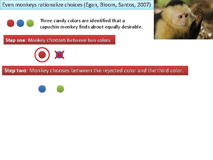 Even monkeys rationalize choices (Egan, Bloom, Santos, 2007) Three candy colors are identified that