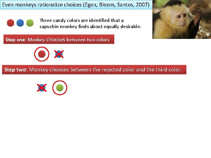 Even monkeys rationalize choices (Egan, Bloom, Santos, 2007) Three candy colors are identified that