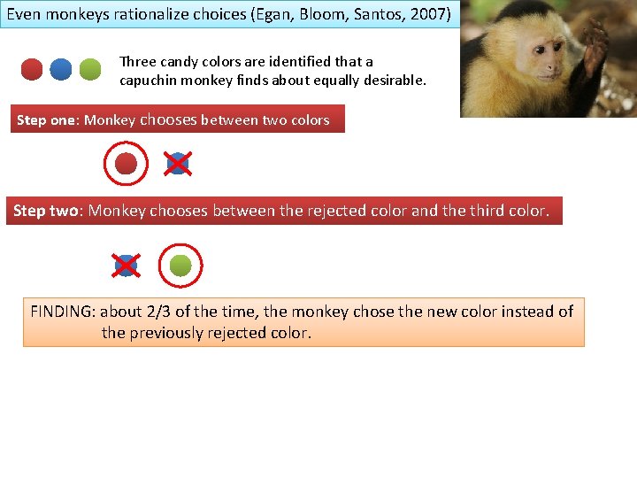 Even monkeys rationalize choices (Egan, Bloom, Santos, 2007) Three candy colors are identified that