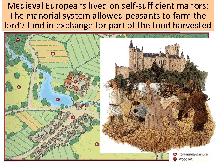 Medieval Europeans lived on self-sufficient manors; The manorial system allowed peasants to farm the