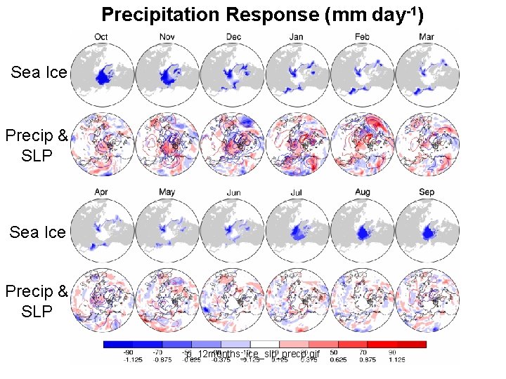 Precipitation Response (mm day-1) Sea Ice Precip & SLP p_12 months_ice_slp_precp. gif 