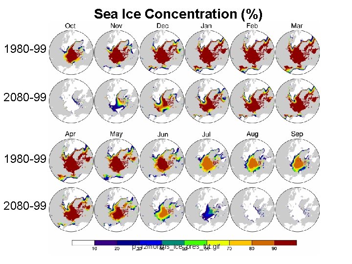 Sea Ice Concentration (%) 1980 -99 2080 -99 p_12 months_ice_pres_fut. gif 