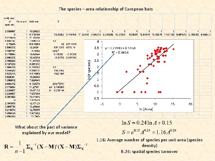 The species – area relationship of European bats What about the part of variance