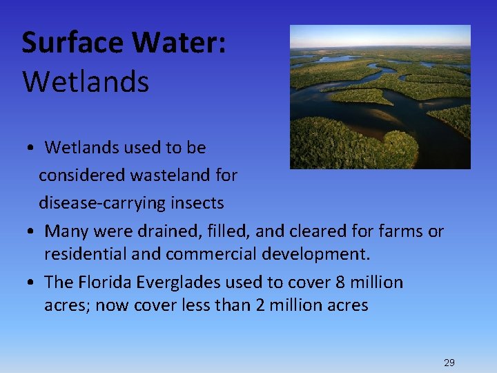 Surface Water: Wetlands • Wetlands used to be considered wasteland for disease-carrying insects •