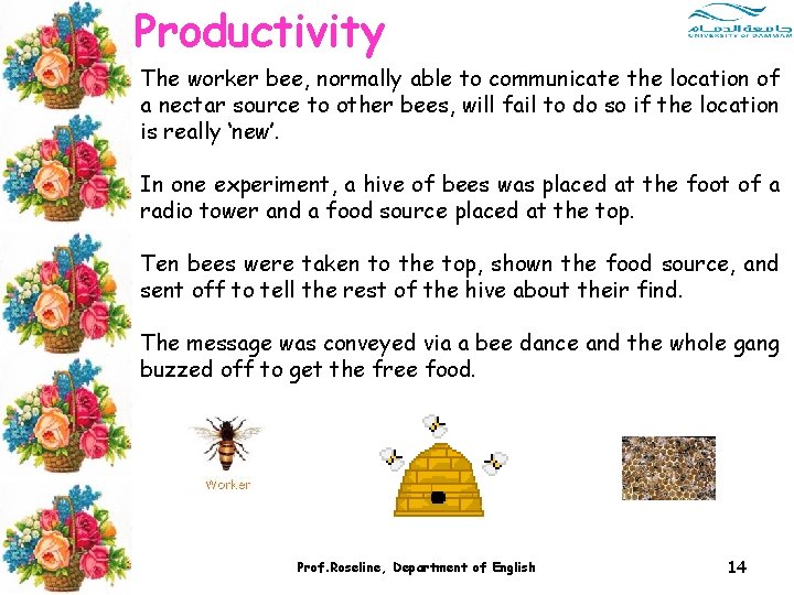 Productivity The worker bee, normally able to communicate the location of a nectar source Productivity The worker bee, normally able to communicate the location of a nectar source