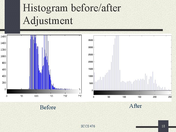 Histogram before/after Adjustment After Before SCCS 476 18 