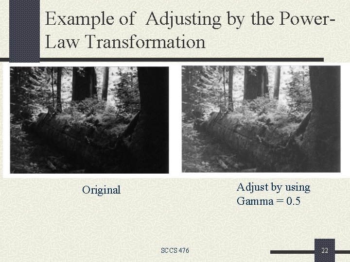 Example of Adjusting by the Power. Law Transformation Adjust by using Gamma = 0.