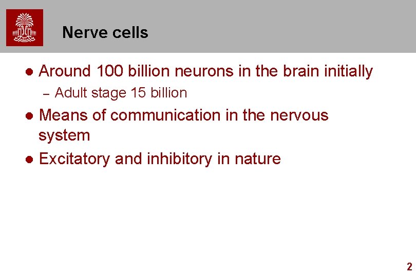 Nerve cells l Around 100 billion neurons in the brain initially – Adult stage Nerve cells l Around 100 billion neurons in the brain initially – Adult stage
