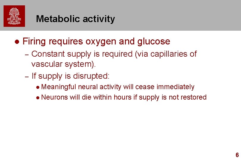 Metabolic activity l Firing requires oxygen and glucose – – Constant supply is required