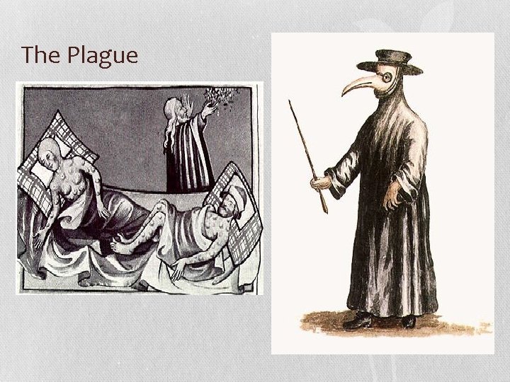 The Plague 