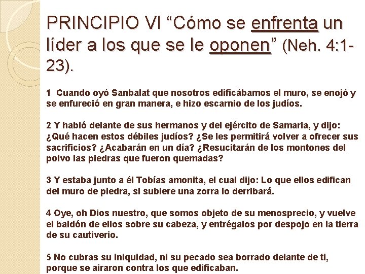 PRINCIPIO VI “Cómo se enfrenta un líder a los que se le oponen” (Neh.