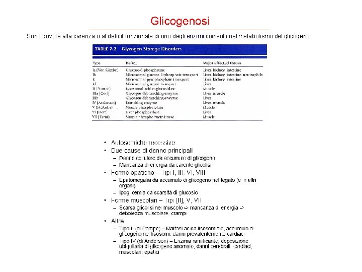  Sono dovute alla carenza o al deficit funzionale di uno degli enzimi coinvolti