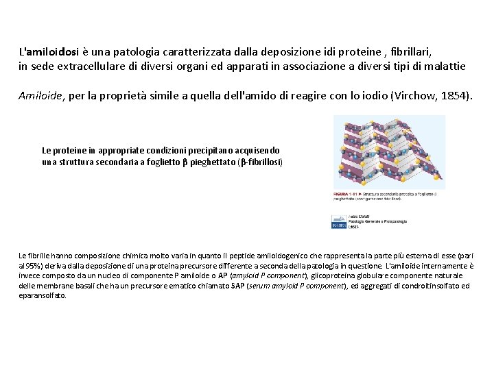 L'amiloidosi è una patologia caratterizzata dalla deposizione idi proteine , fibrillari, in sede extracellulare