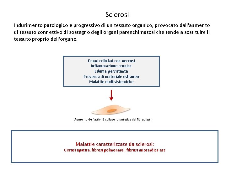 Sclerosi Indurimento patologico e progressivo di un tessuto organico, provocato dall'aumento di tessuto connettivo