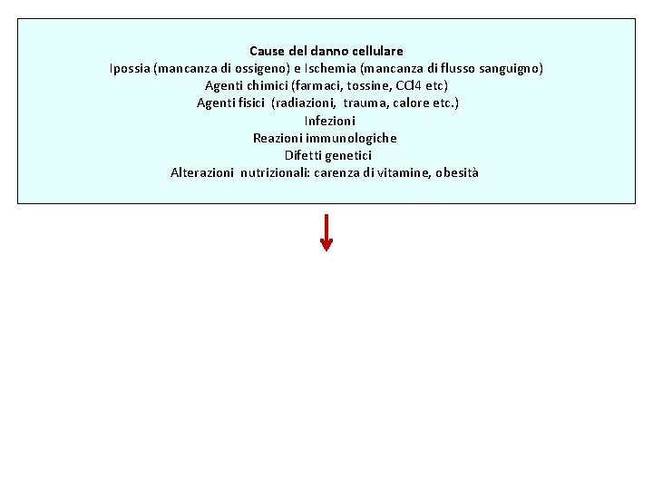 Cause del danno cellulare Ipossia (mancanza di ossigeno) e Ischemia (mancanza di flusso sanguigno)