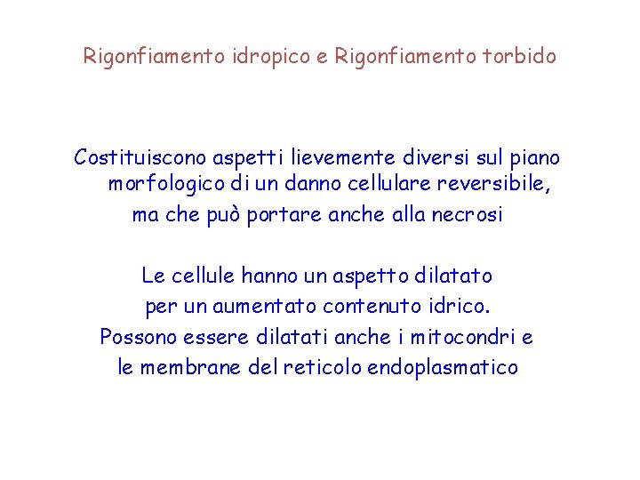 Rigonfiamento idropico e Rigonfiamento torbido Costituiscono aspetti lievemente diversi sul piano morfologico di un