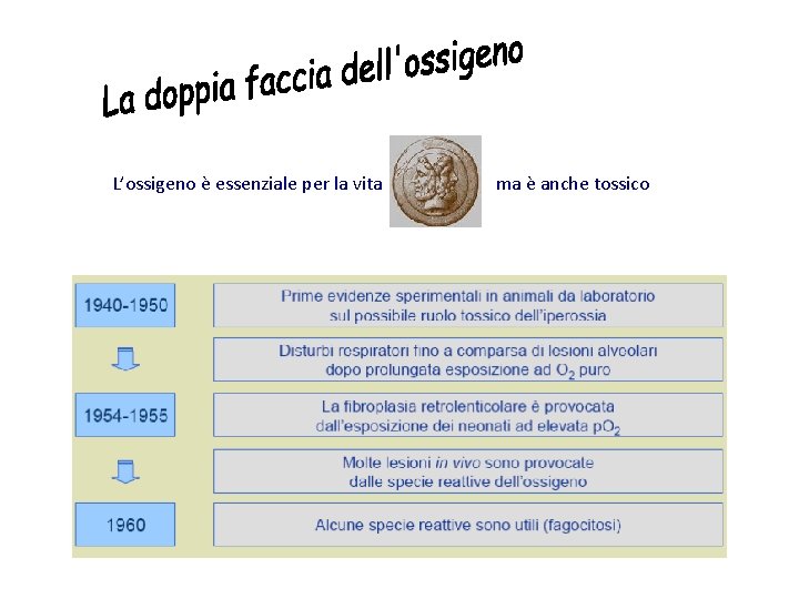 L’ossigeno è essenziale per la vita ma è anche tossico 