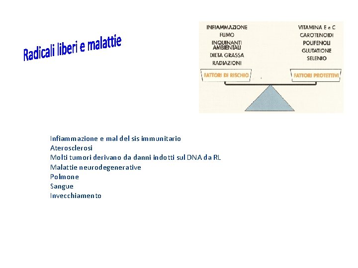 Infiammazione e mal del sis immunitario Aterosclerosi Molti tumori derivano da danni indotti sul