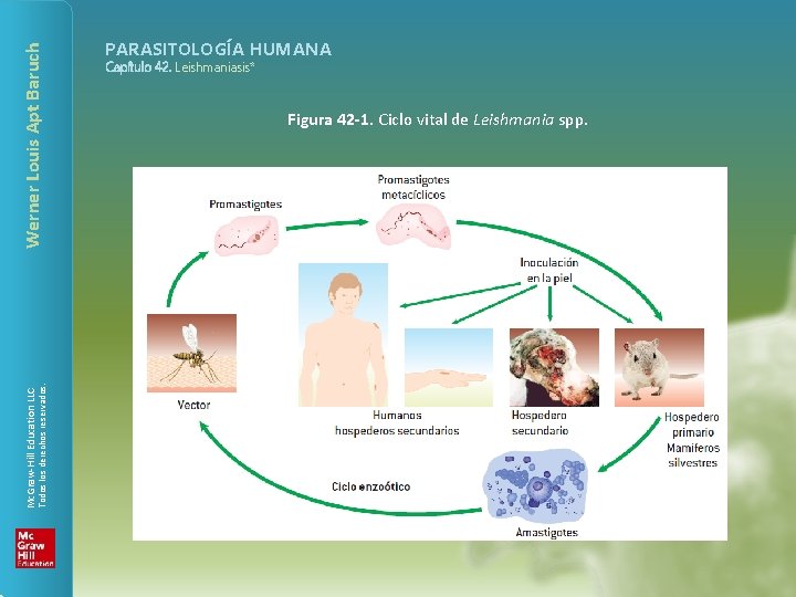Werner Louis Apt Baruch Todos los derechos reservados. Mc. Graw-Hill Education LLC PARASITOLOGÍA HUMANA