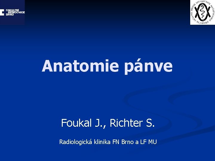 Anatomie pánve Foukal J. , Richter S. Radiologická klinika FN Brno a LF MU