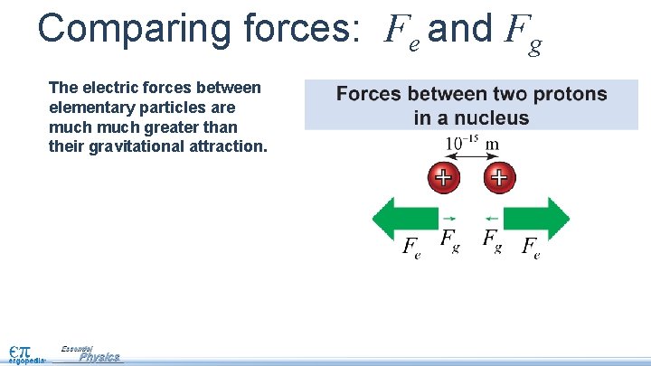 Comparing forces: Fe and Fg The electric forces between elementary particles are much greater