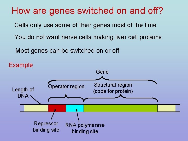 Genetic Diseases And Genetic Counselling Cl Cl Cl genetic-diseases-and-genetic-counselling-cl-cl-cl